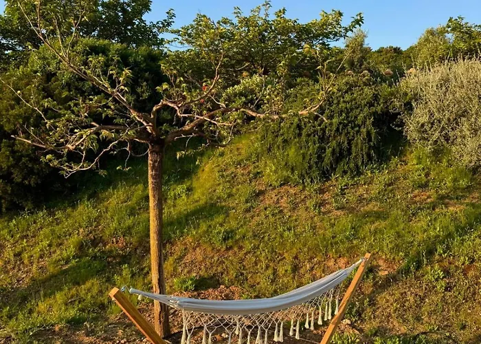Vista Mare , Cap Corse Campsite Meria