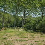 Vista Mare , Cap Corse 营地 *