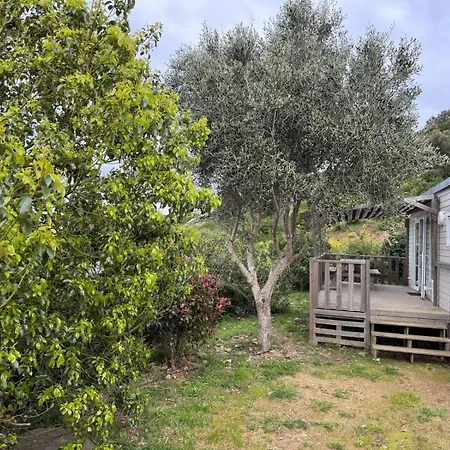 Camping Vista Mare , Cap Corse Meria