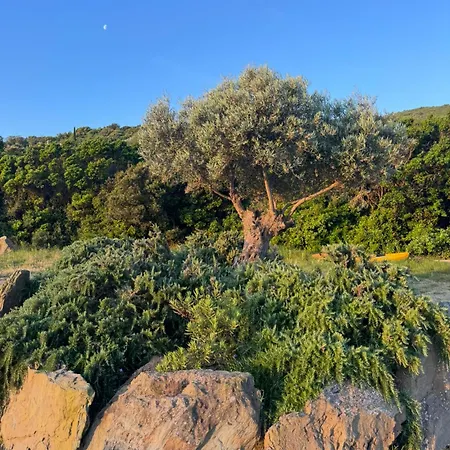 Vista Mare , Cap Corse *