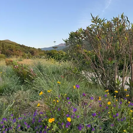Vista Mare , Cap Corse Meria