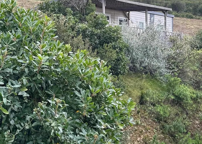 Vista Mare , Cap Corse אתר קמפינג *