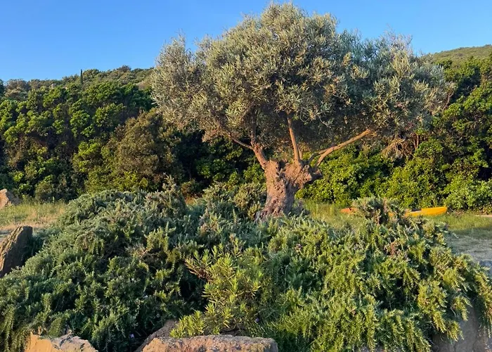 Vista Mare , Cap Corse *
