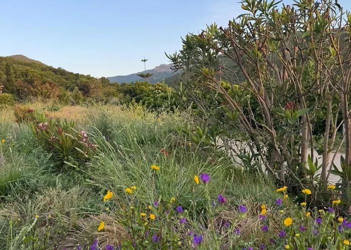 Vista Mare , Cap Corse Meria
