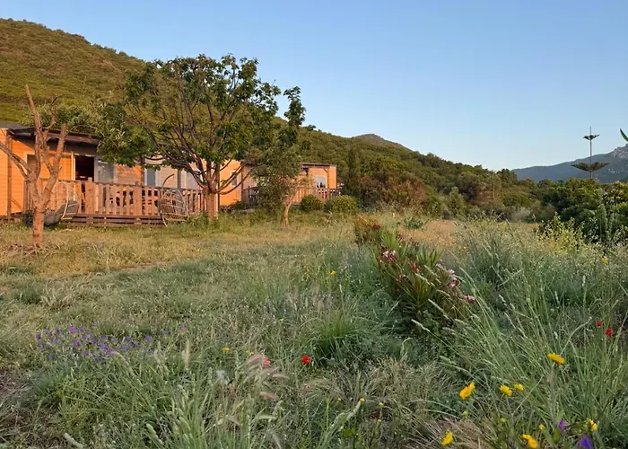 Vista Mare , Cap Corse אתר קמפינג